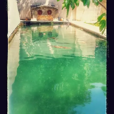 B&B La Royante
